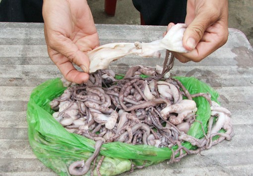Đến lượt bạch tuộc bị làm giả | Thực phẩm giả,Bạch tuộc giả,Vệ sinh an toàn thực phẩm,thực phẩm bẩn