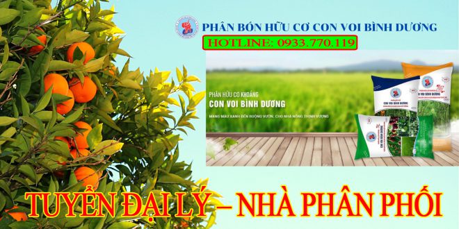 GIỚI THIỆU PHÂN BÓN CON VOI BÌNH DƯƠNG – TUYỂN ĐẠI LÝ – NHÀ PHÂN PHỐI – HOTLINE: 0933.770.119